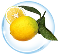 Bergamot