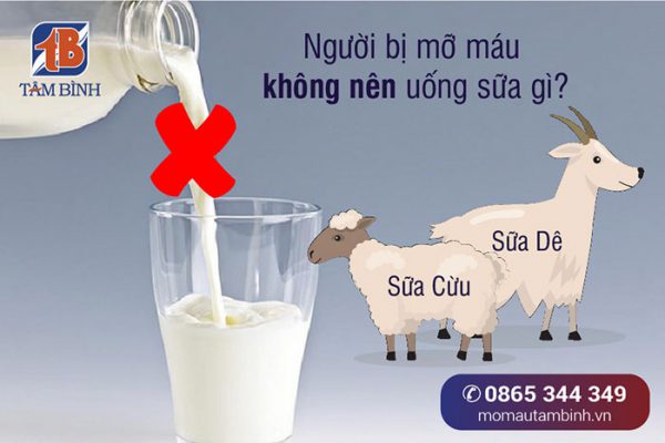 mỡ máu không nên uống sữa gì