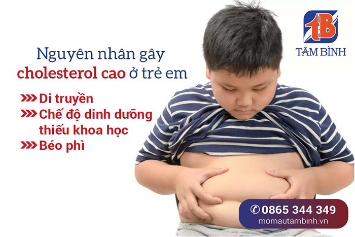 nguyên nhân gây cholesterol cao ở trẻ em